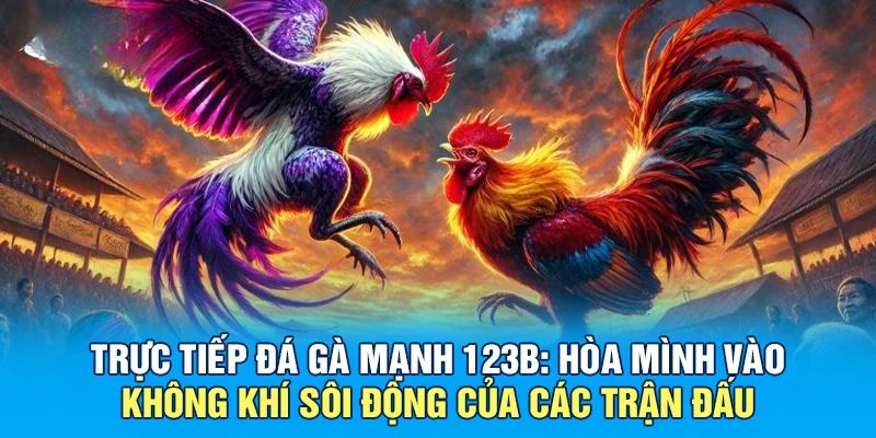 Đá gà - Lựa chọn không thể bỏ qua tại 123b